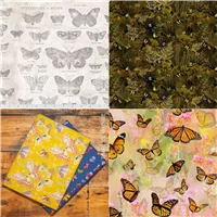 Butterflies