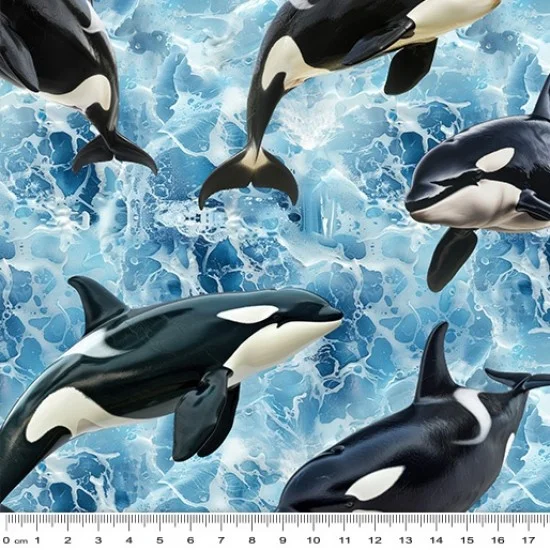 Animals 79400 113 Whales