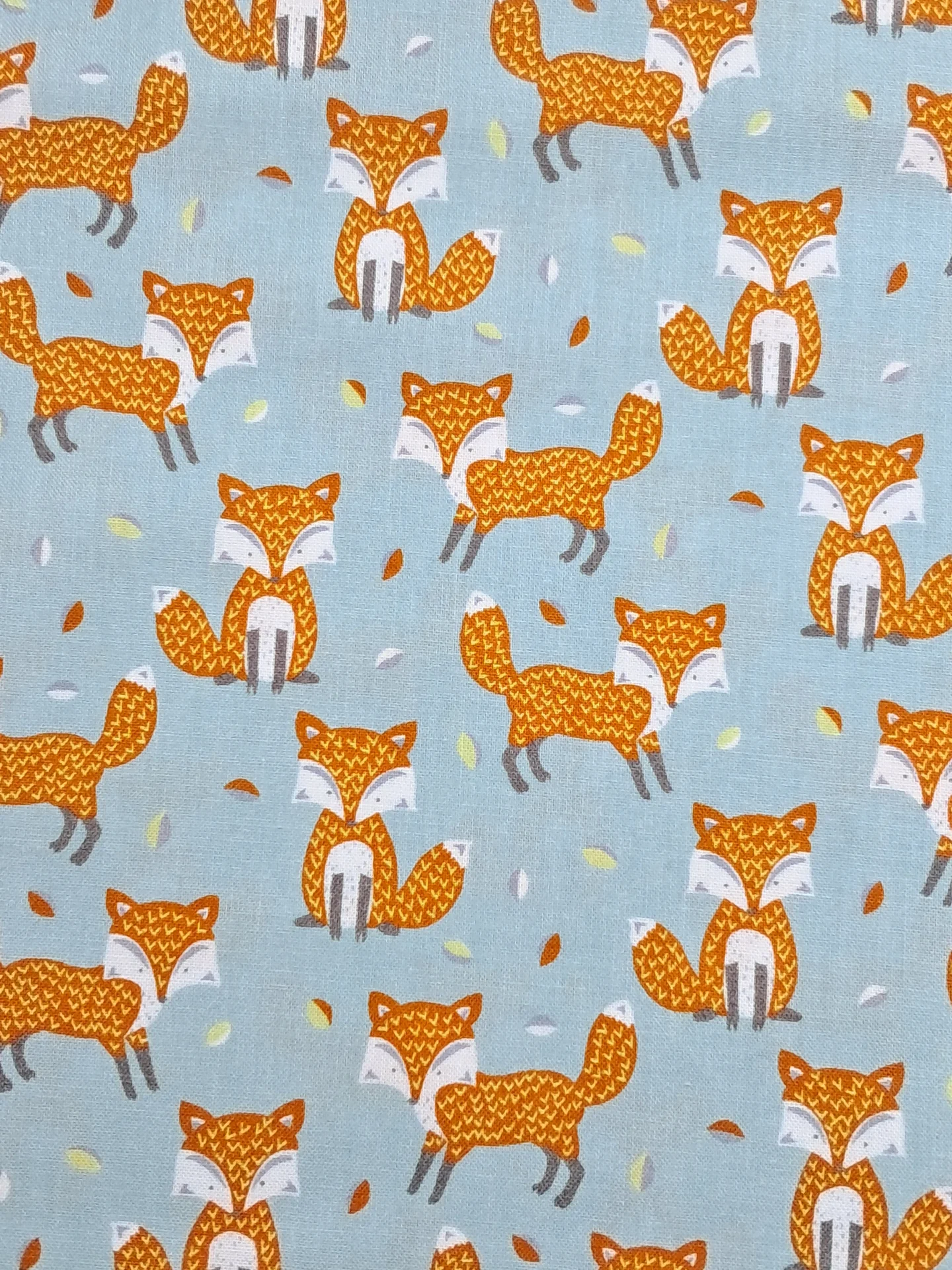 Animals 89840 3 Woodland Fox