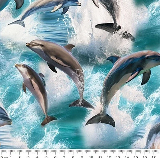 Animals Marine Marvels Dolphin