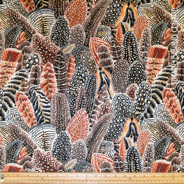 Animals Phillip Jacobs Arcadia Feather