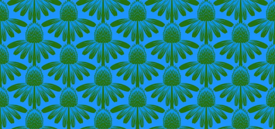 Anna Maria Textiles Basics Indelible Coneflower Pool
