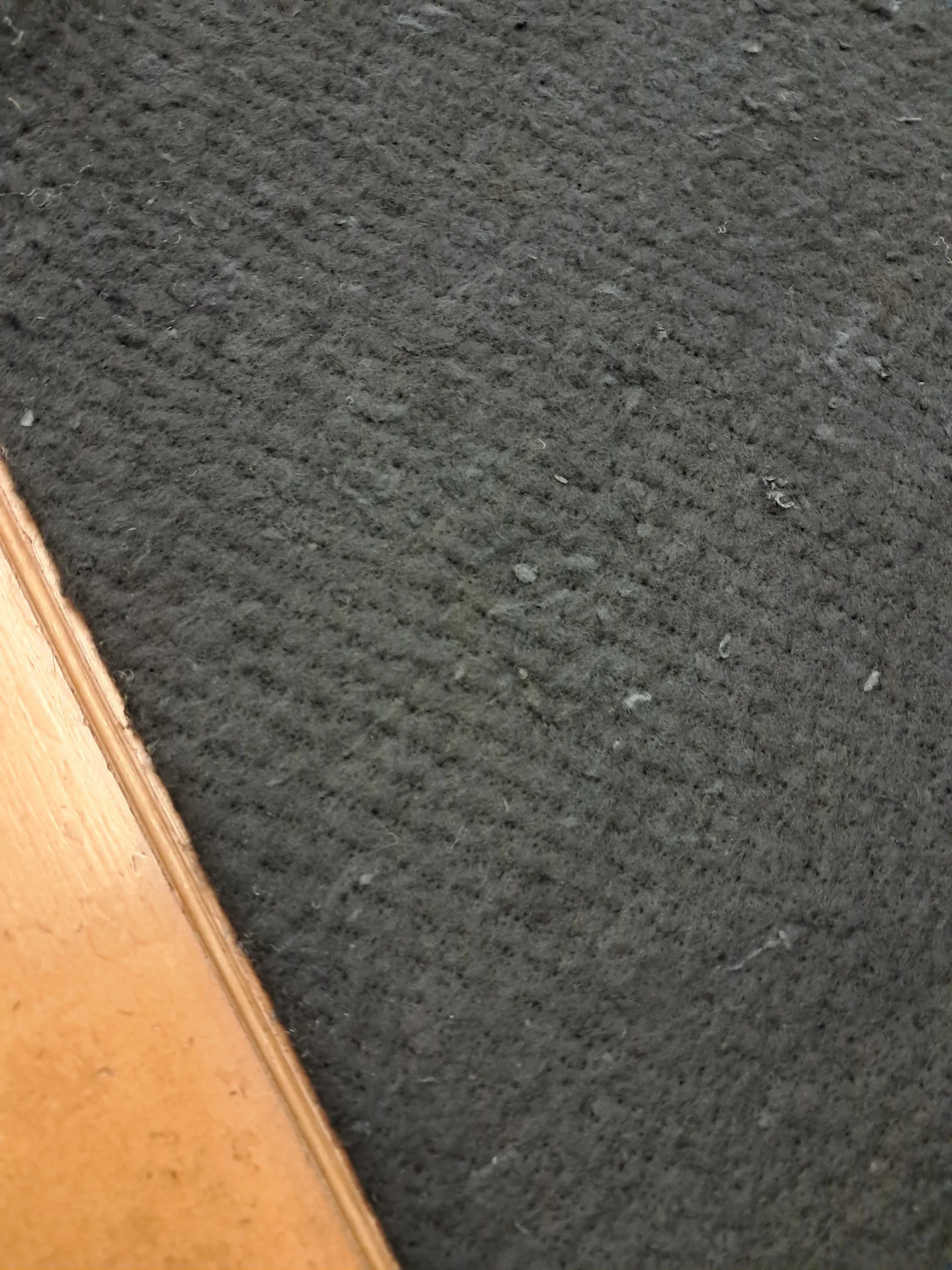 Black Blend Polyester Cotton 30/ 70