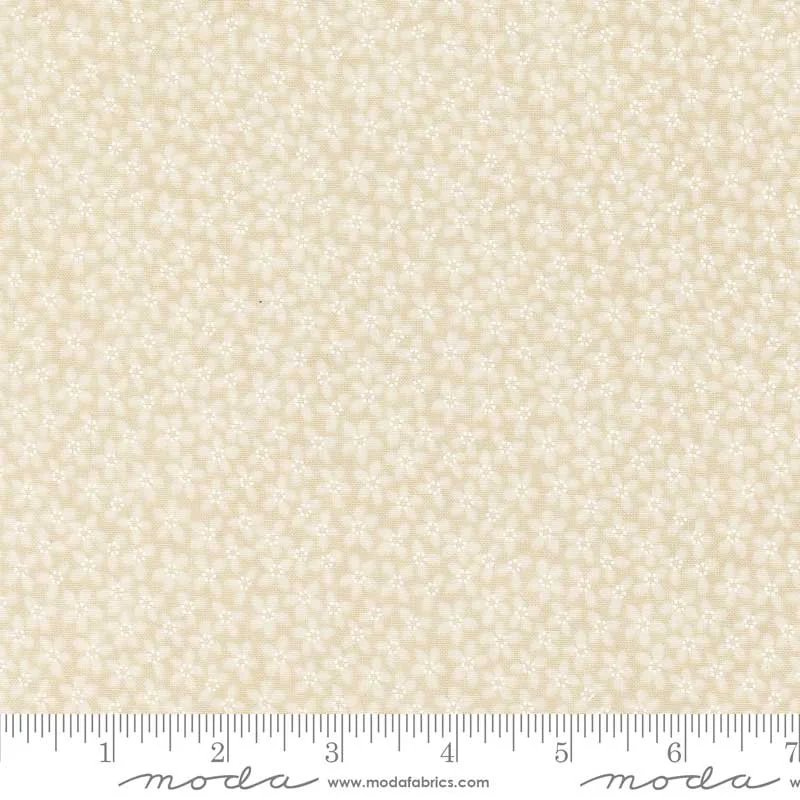 Blender Seeds Lazy Daisy Beige