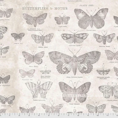Butterfly Tim Holtz Parchment
