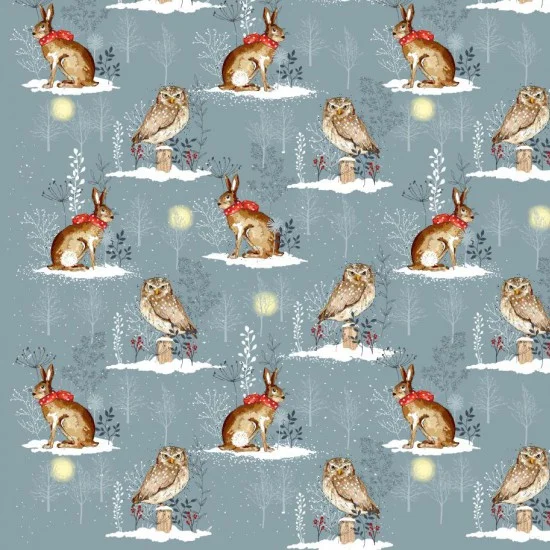 Christmas Winter Moon Owl Hare
