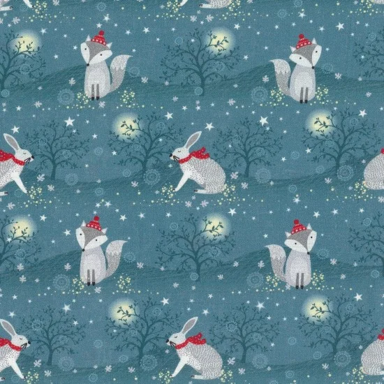 Christmas Winter Moonlight Hare and Fox