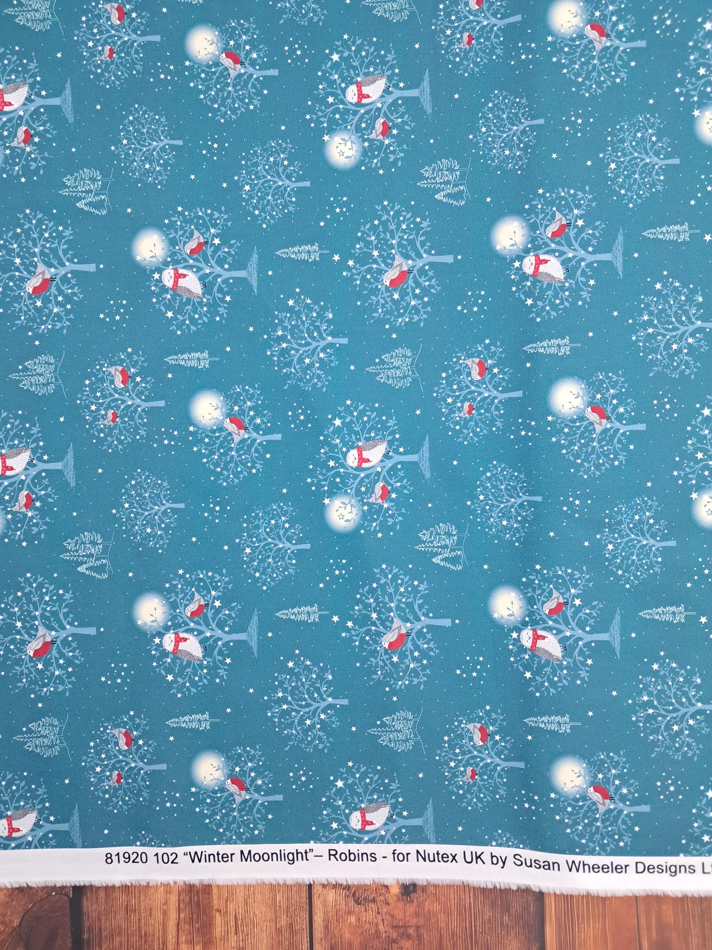 Christmas Winter Moonlight Robins and Owls