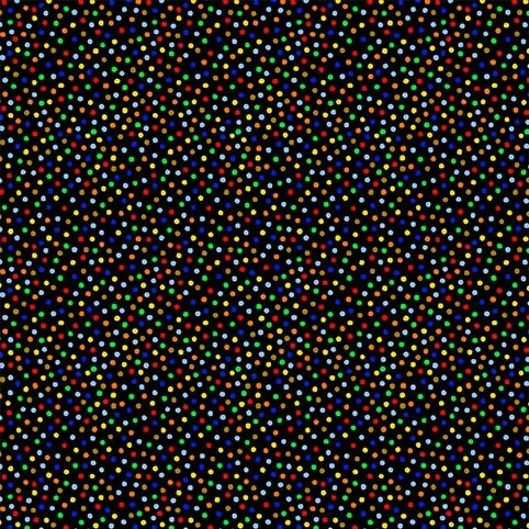 Dots Michael Miller Garden Pindot Brite