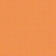 Dots R&B Studio Finch and Fern Orange
