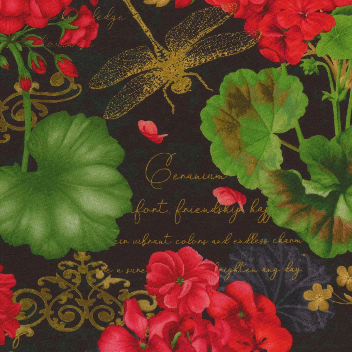 Flowers Geranium Dragonfly Collage
