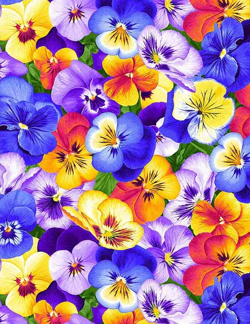 Flowers Packed Pansies Multi