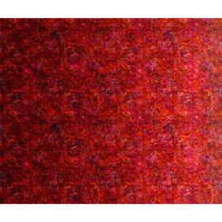 Gypsy Soul Ombre Print Brick Red Pk Ombre Prt