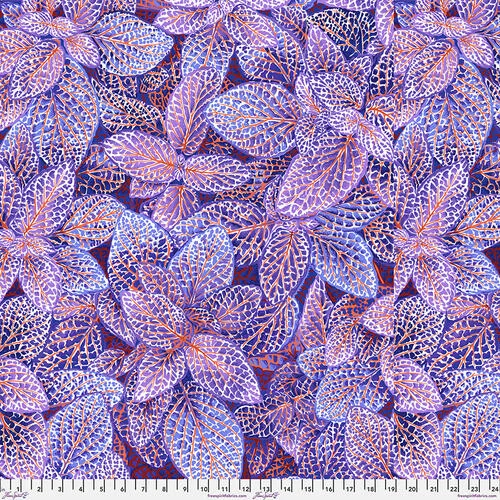 Kaffe Fassett Fittonia PJ 129