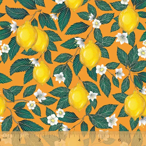 Kitchen Just Fruit Orange Background with Lemons