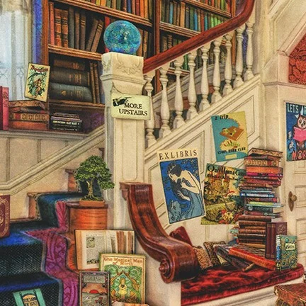Misc 20802 Antique Library Scene