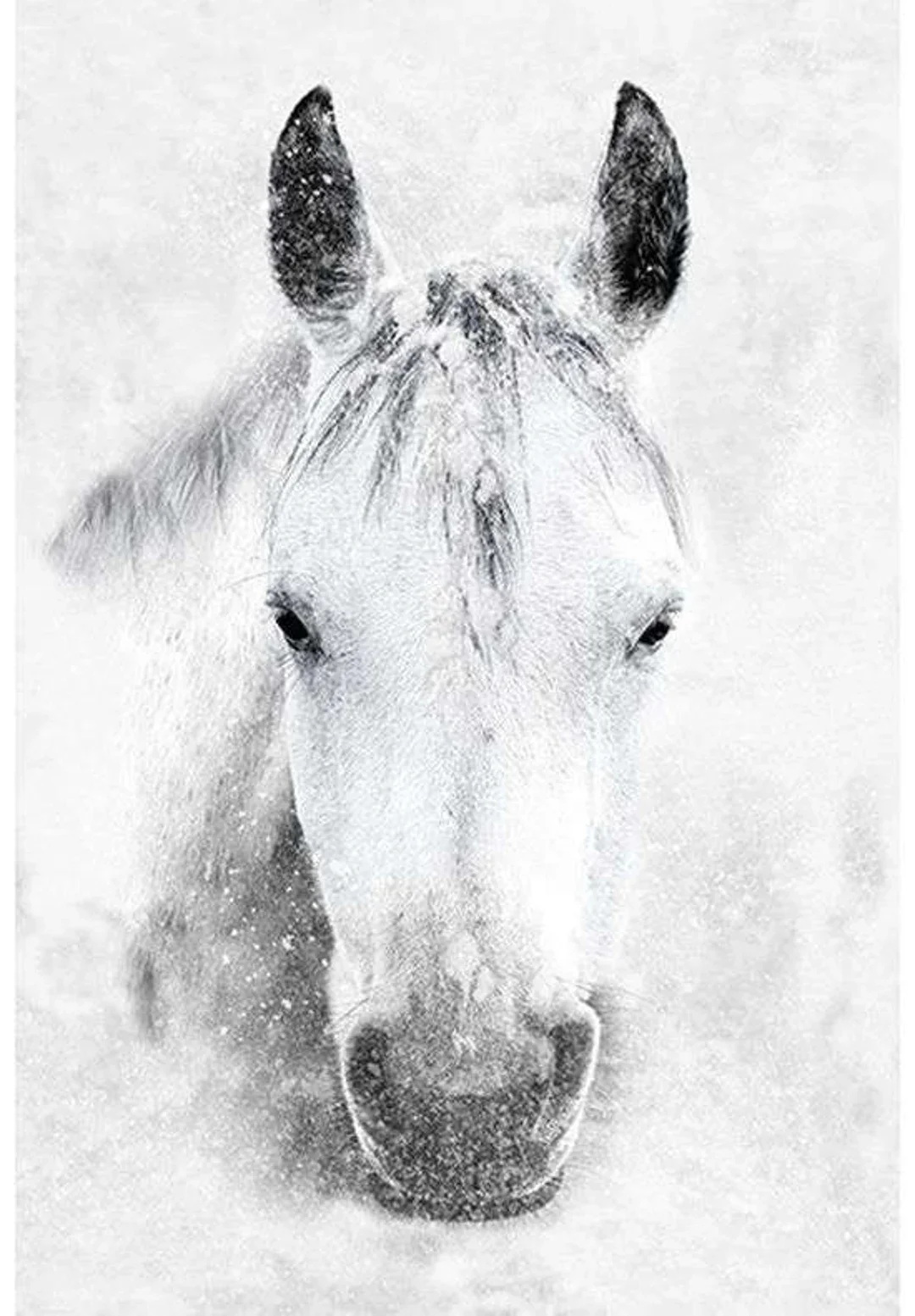 Patchwork Panel Grey Horse On White