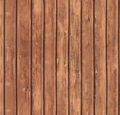 Scenes Surface Sable Wooden Plank