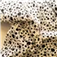 Fabric Shelby White Black Print - photo 1