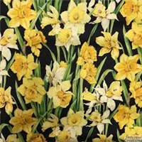 Flowers Daffodils 89420 102