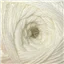 Crucci Sock Yarn 34 White