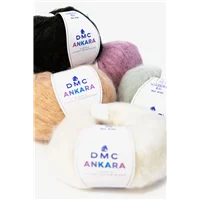 DMC Ankara