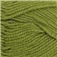 Broadway NZ Merino DK 6282 Leaf Green