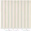 Renew Stripe Multi Fine On White