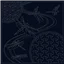 Sashiko Squares Dragonfly