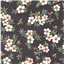 Animals Bee Haven Manuka Grey