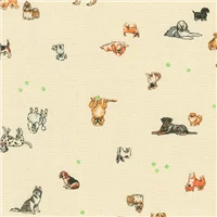 Animals Petit Dogs On Cream