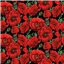 Flowers 81090 5 Market Poppy