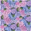 Flowers 81090 8 Hydrangea