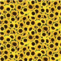 Flowers Packed Sunflowers Yellow