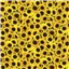 Flowers Packed Sunflowers Yellow