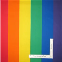 Stripes Extra Wide 9cm Rainbow
