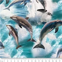 Animals Marine Marvels Dolphin