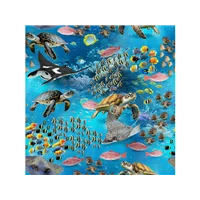 Animals Marine Marvels Turtles