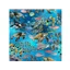 Animals Marine Marvels Turtles
