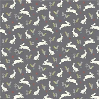 Animals Wildwood Rabbits On Grey
