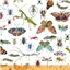 Deep Forest Bugs On White