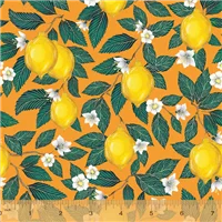 Kitchen Just Fruit Orange Background with Lemons