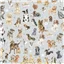 Animal Mwwhiskers Paws 10415k