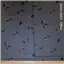 Animal Grey Black Glitter Raven - photo 1