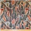 Animals Phillip Jacobs Arcadia Feather