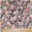 Animals Phillip Jacobs Arcadia Speckled Eggs