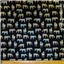 Animals Rainbow Zebra Black Multi - photo 1