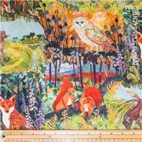 Animals Down In The Woods