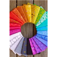 Alison Glass Sun Print
