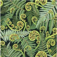 Quilt Backing Koru Fronds Green
